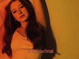 Ariannaschnall