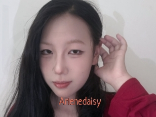 Arlenedaisy