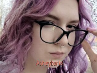 Ashleybarks