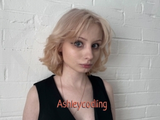 Ashleycodling
