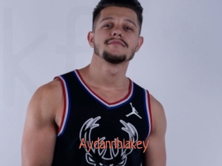 aydannblakey Kachou Fuzoku