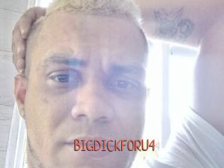 BIGDICKFORU4