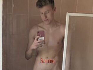 Bammo