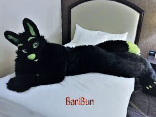 BaniBun