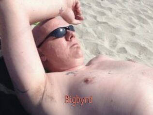Bigbyrd