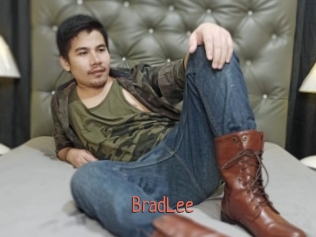 BradLee Kachou Fuzoku