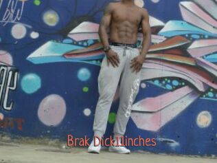 Brak_Dick11inches