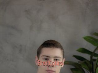 BredCollins