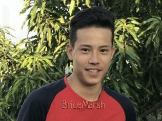 BriceMarsh Kachou Fuzoku