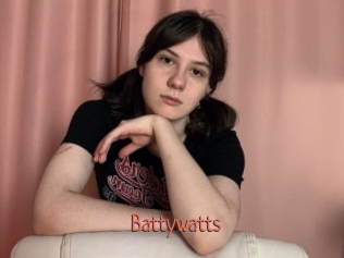 Battywatts