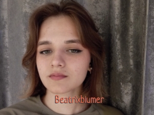 beatrixblumer Kachou Fuzoku