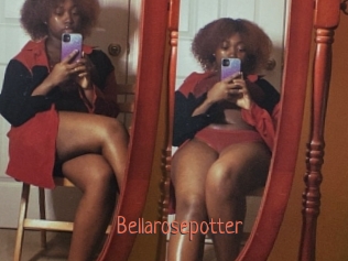 Bellarosepotter