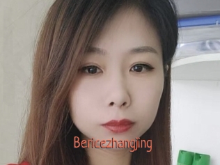 Bericezhangjing