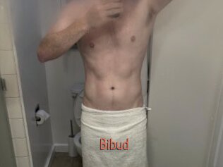 Bibud