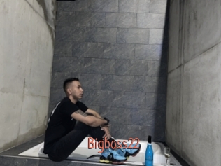 Bigboss22