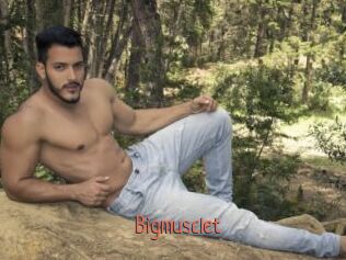 Bigmusclet