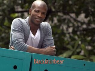 Blacklatinbear