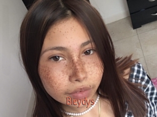 Bleydys