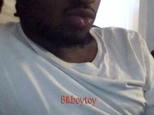 blkboytoy Kachou Fuzoku
