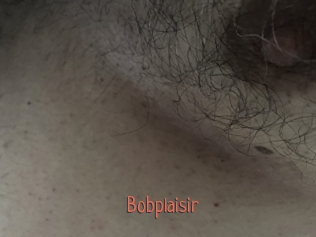 Bobplaisir