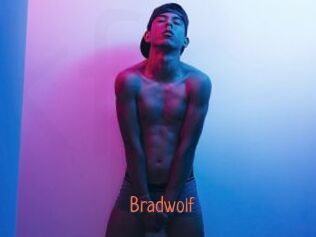 bradwolf Kachou Fuzoku