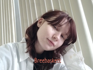 Breebaskett