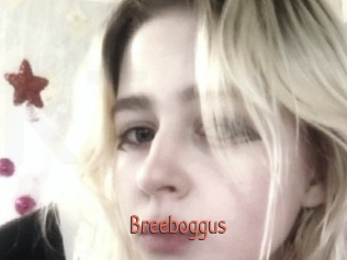 Breeboggus