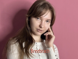 Breebrach
