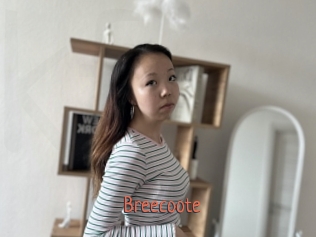 Breecoote