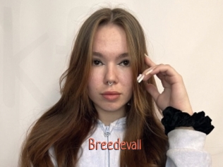 Breedevall