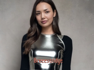 Breeestridge