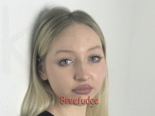 Breefudge