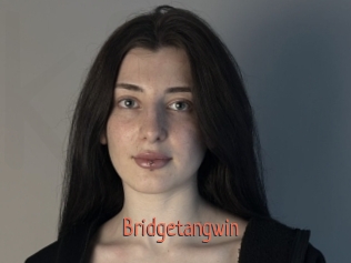 Bridgetangwin