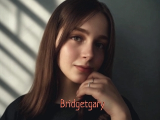 bridgetgary Kachou Fuzoku