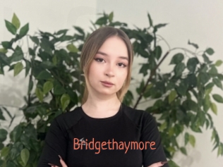 bridgethaymore Kachou Fuzoku