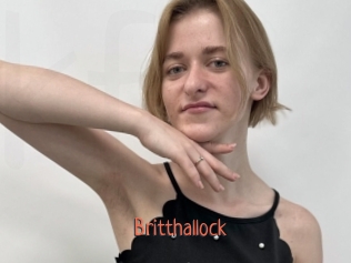 Britthallock