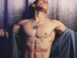 Brucemill
