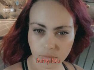 Bunny_bleu