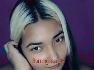 Burningrose20