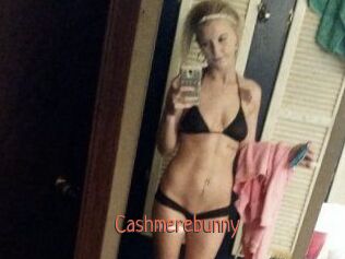 Cashmerebunny