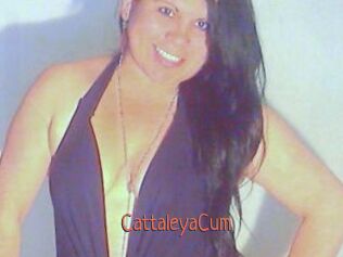 CattaleyaCum