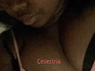 Ceslestrial