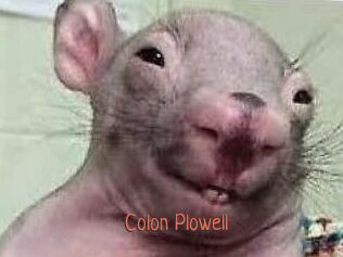 Colon_Plowell
