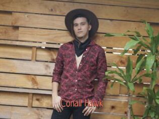 Conall_Hawk