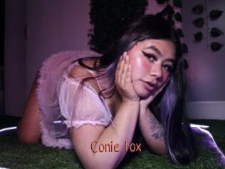 Conie_fox