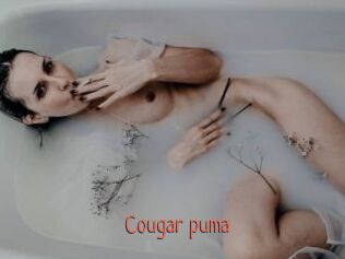 Cougar_puma