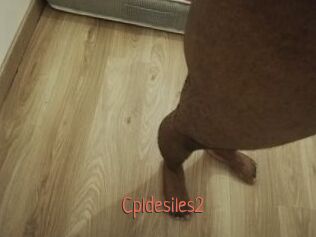 Cpldesiles2