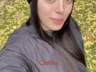 camiblue Kachou Fuzoku