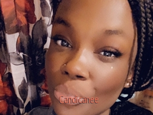 Candicanee