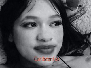 Caribeanfox